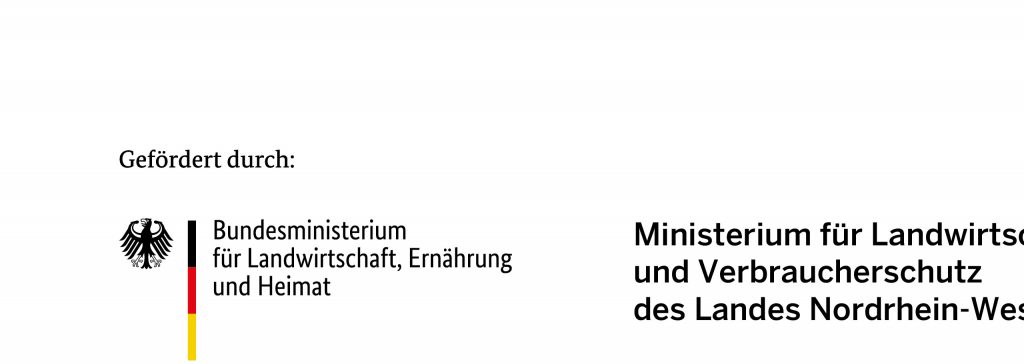 kleinprojekte-rr-2025_