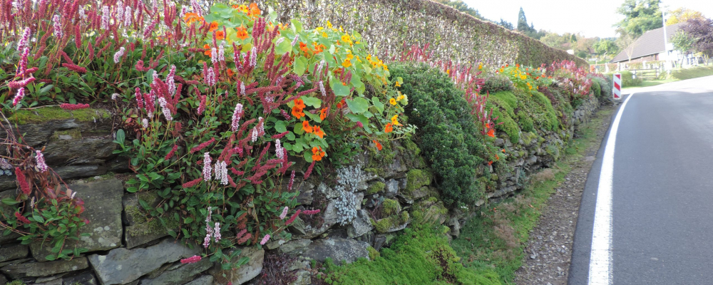 begruente_mauer_biostation_dueren